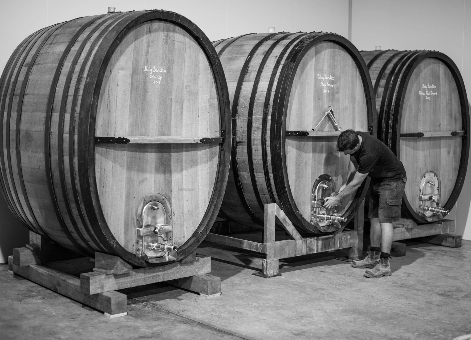 Oak foudres in the Testalonga winery.