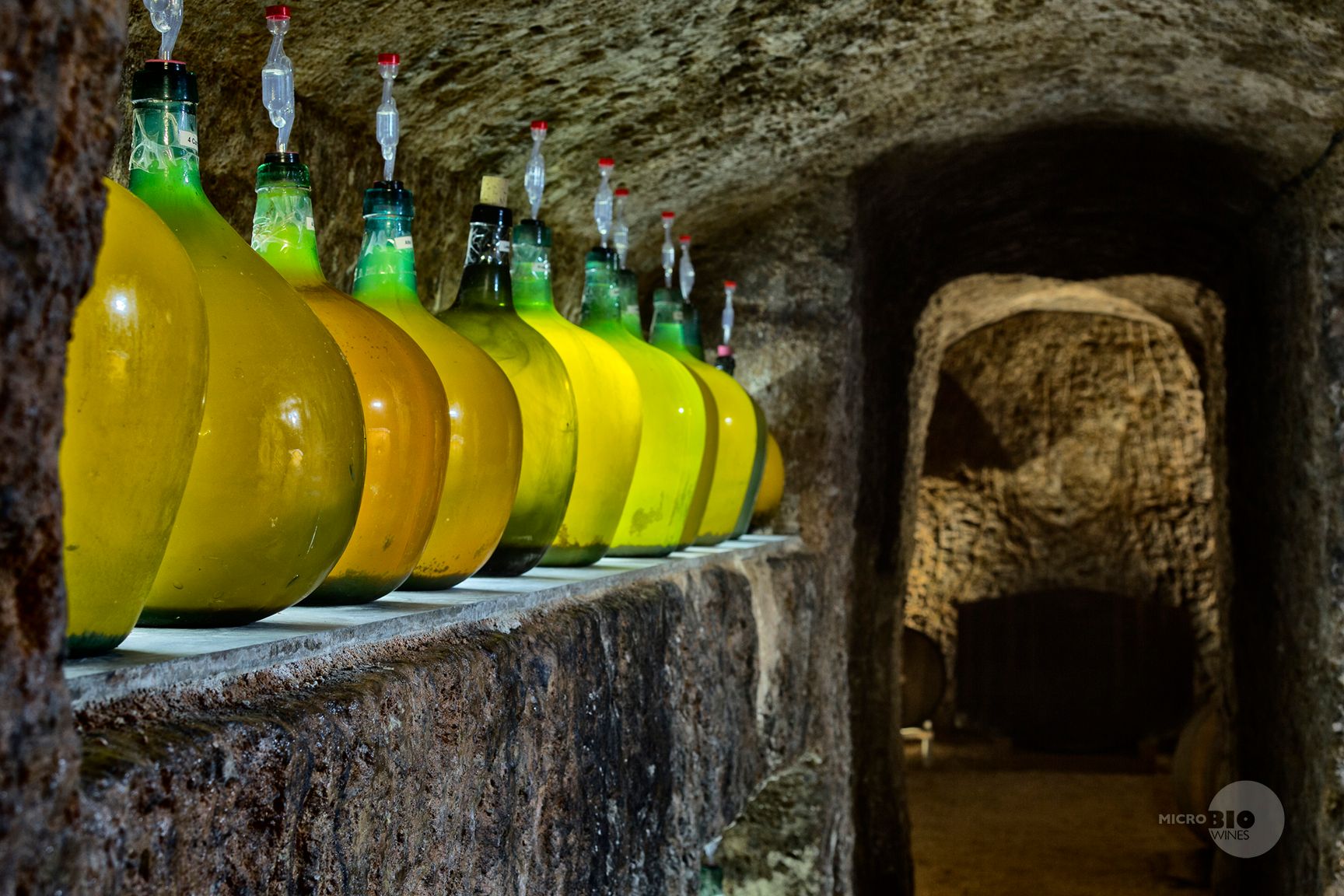 One of the cellars at Microbio