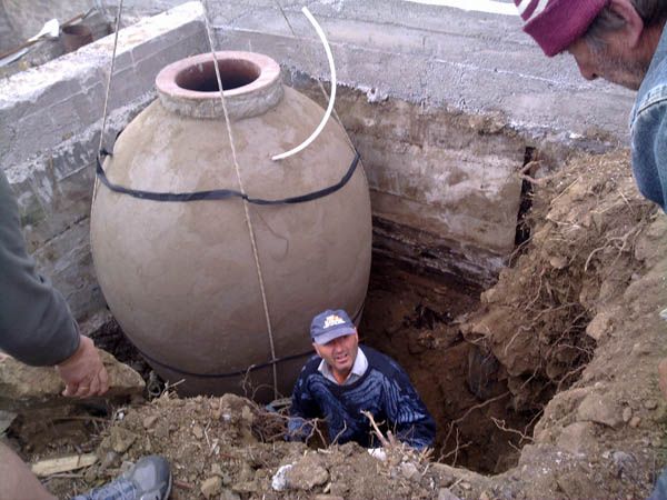 Burying quevries (kvevries) at Gotsa winery