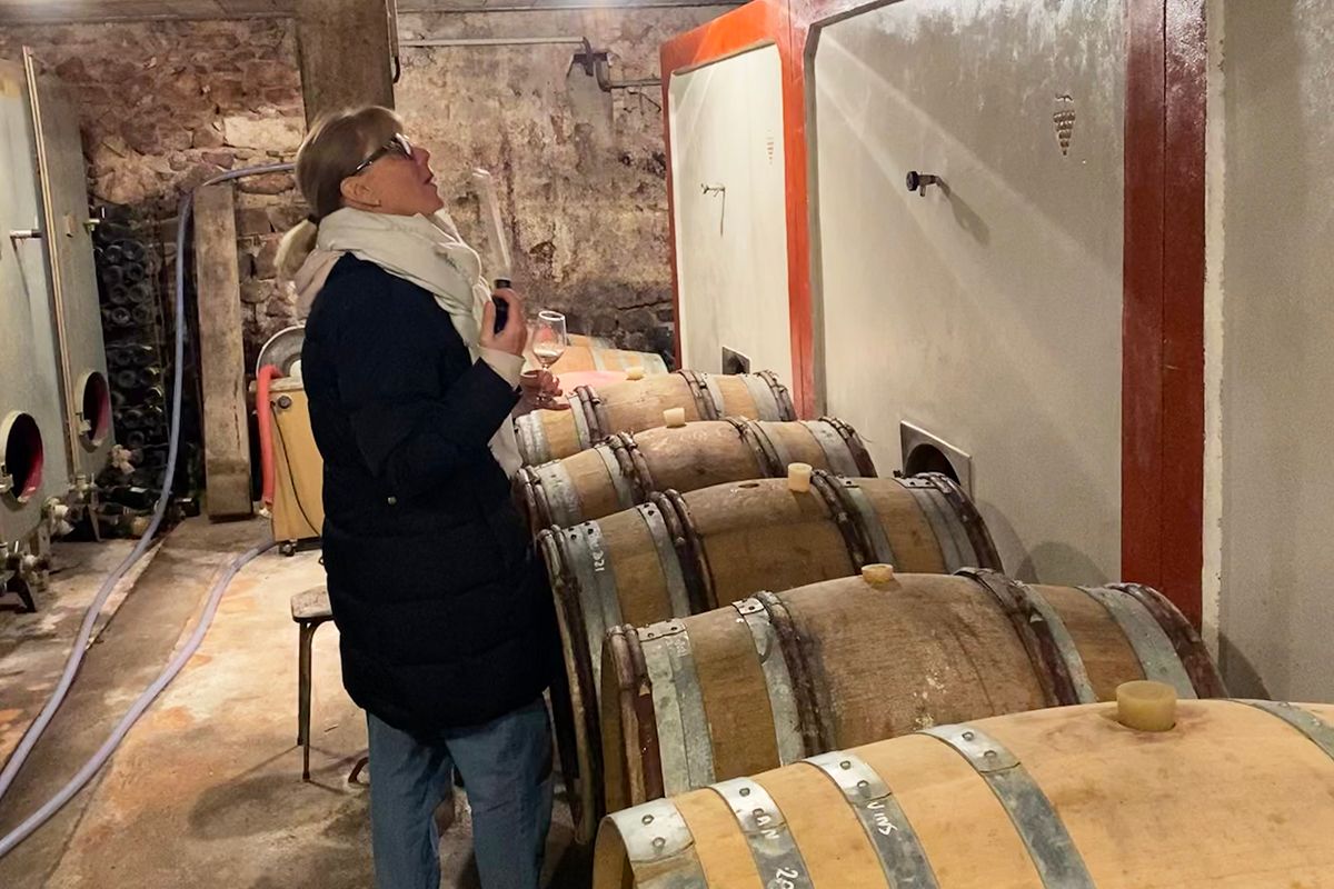 The cellar at Domaine des Côtes de la Molière