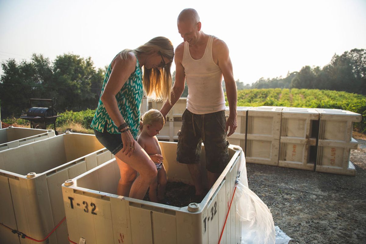 Pressing grapes at Conduit