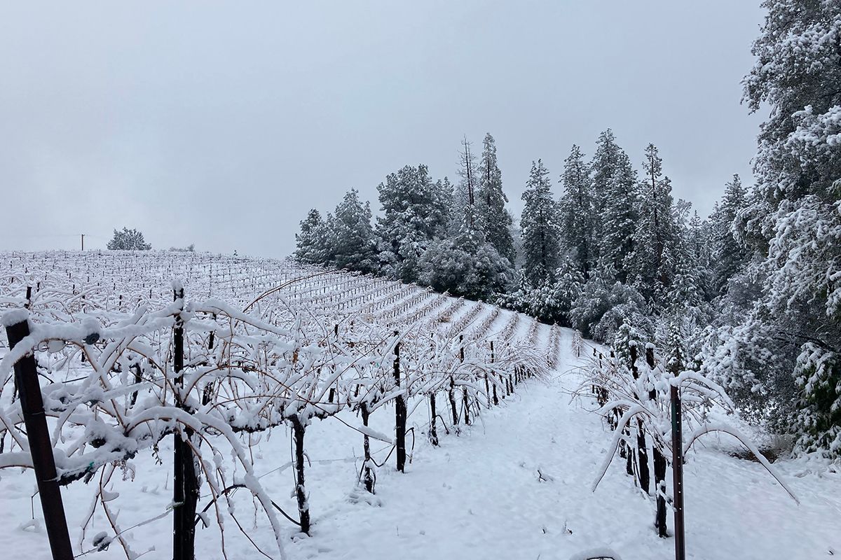 Snow at the Conduit winery 