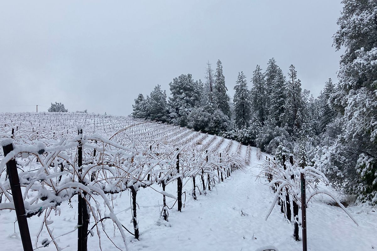 Snow at the Conduit winery