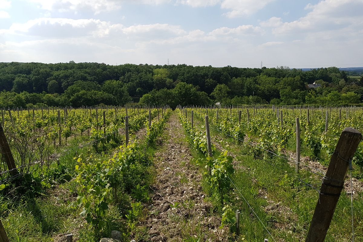  Domaine des Hauts Baigneux