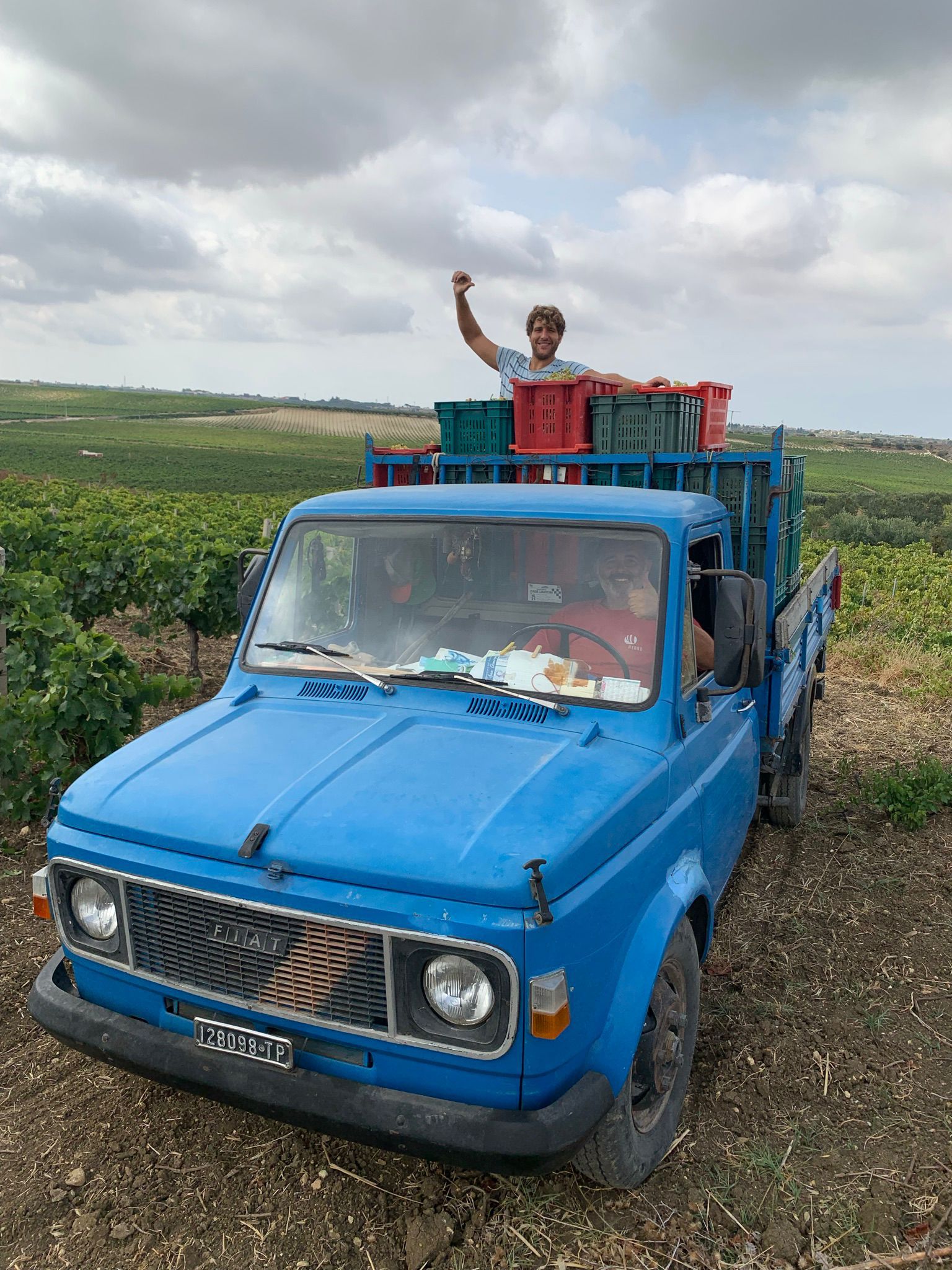 Harvest at Viteadovest