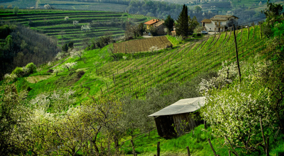 Farmtastic Slovenia
