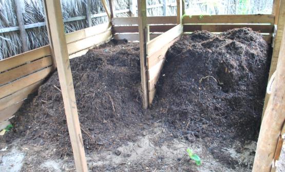 Water Harvesting