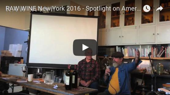 Speakers' Corner NYC 2016 - Videos