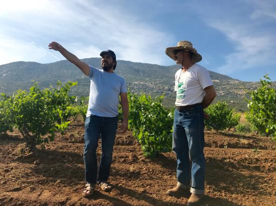 An Interview with Bichi Winery’s Noel Téllez