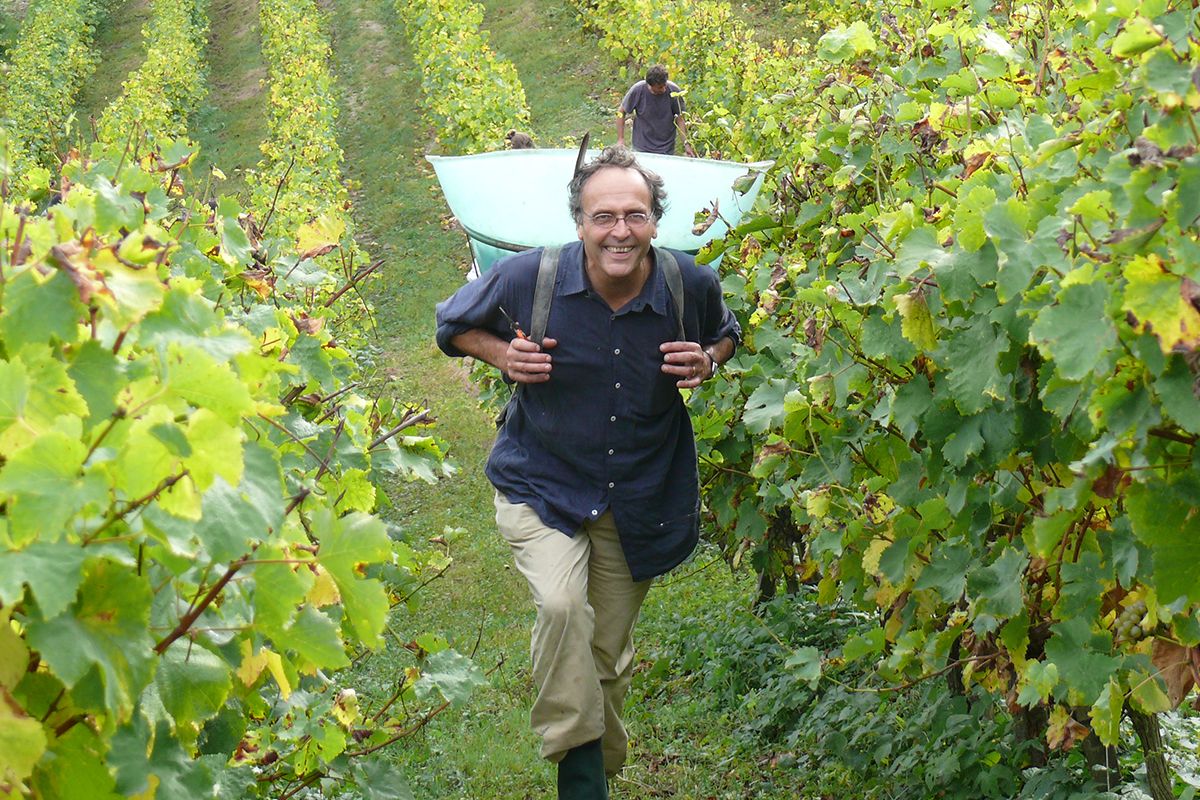 ALIVE! Nicolas Joly - biodynamic pioneer