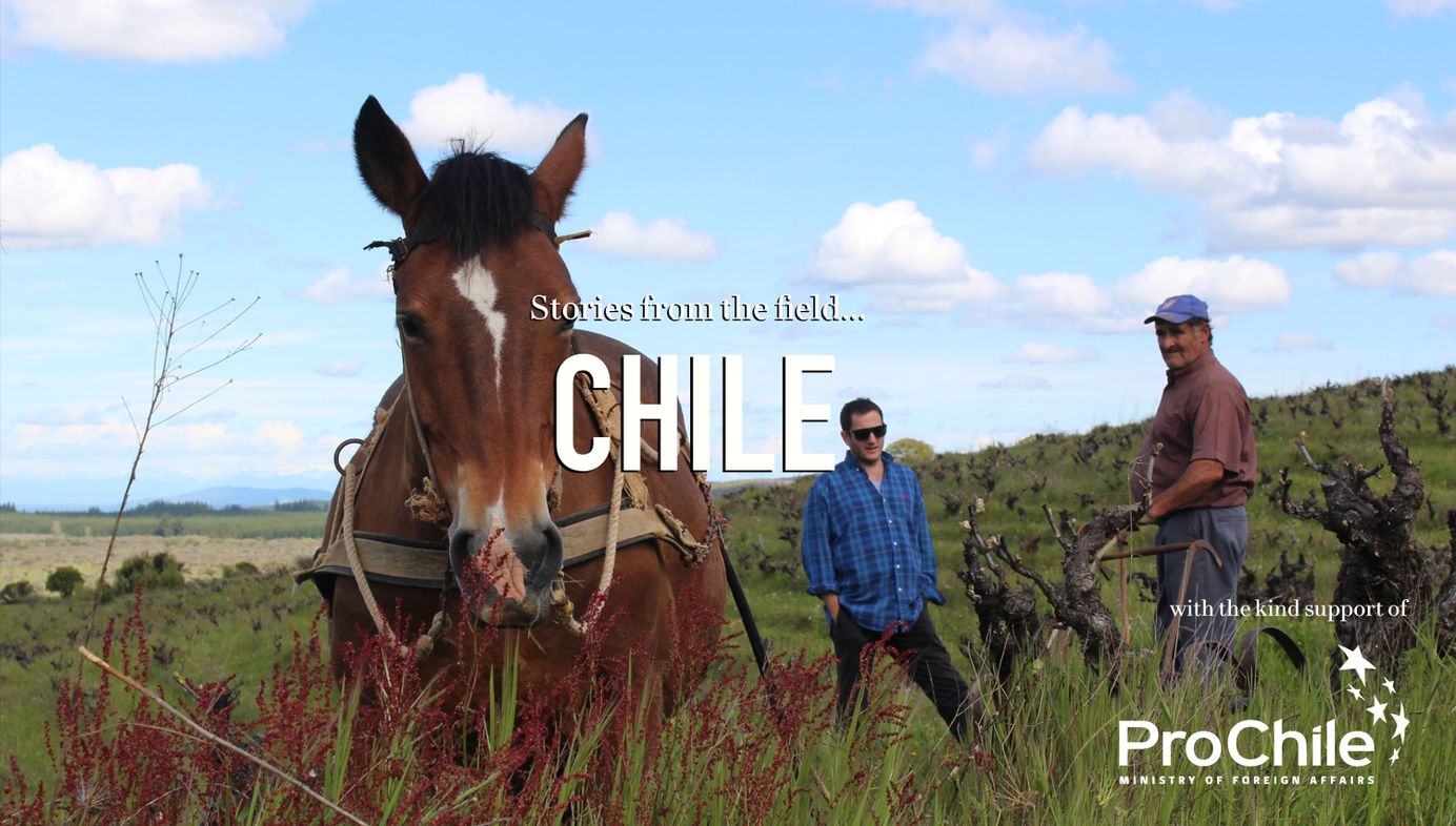 Stories from the field - Chile