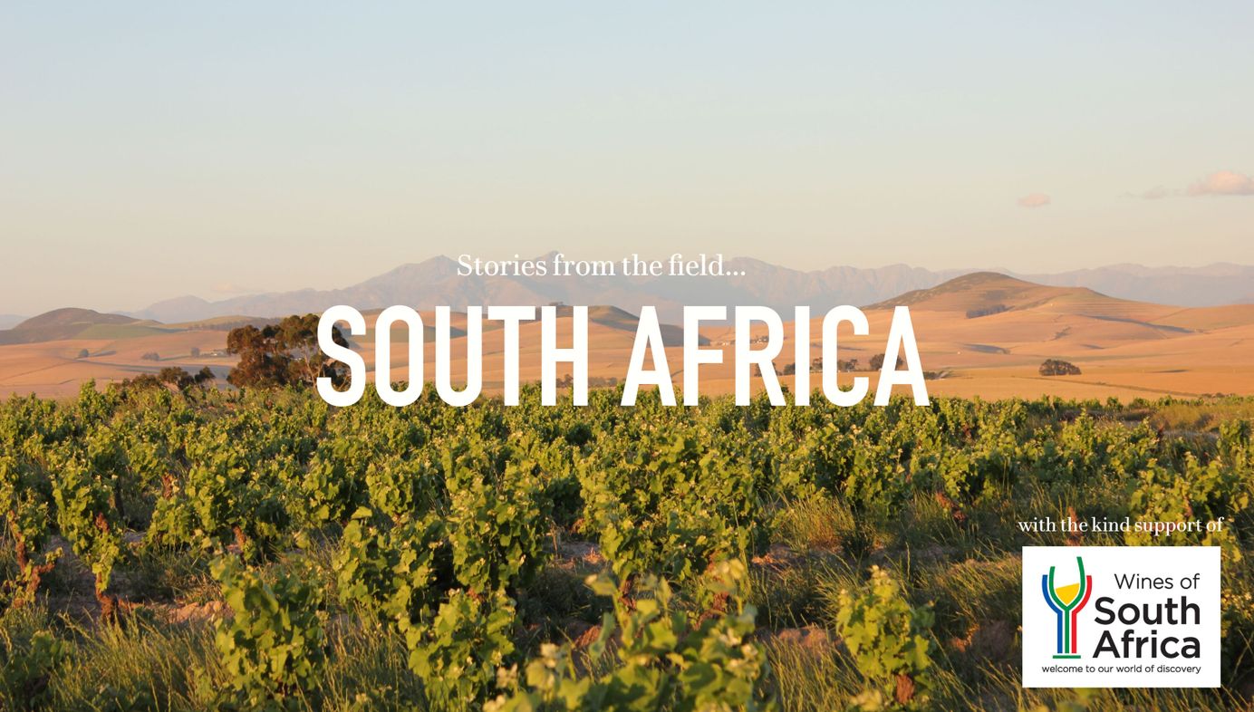 Stories from the field - South Africa
