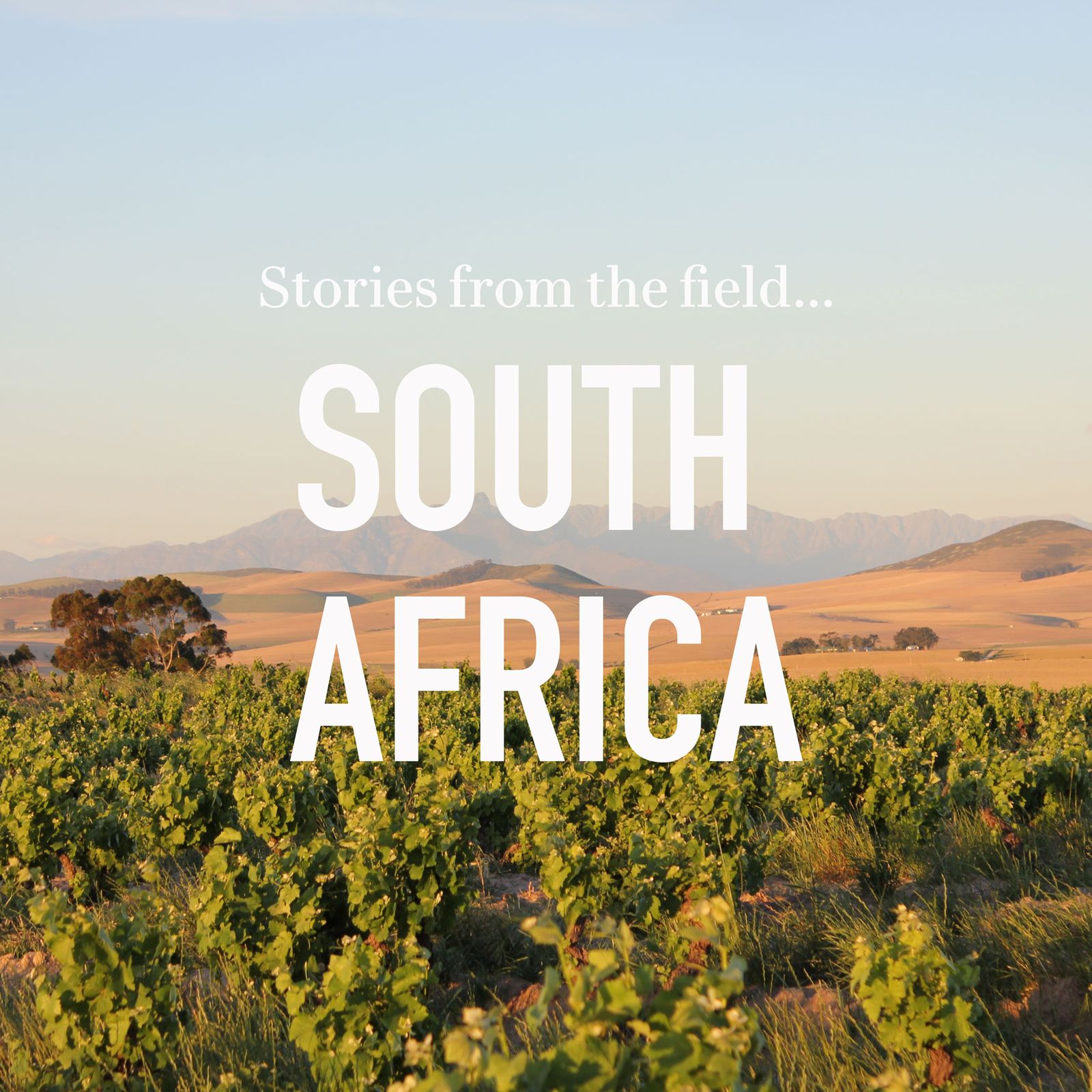 Stories from the field - South Africa
