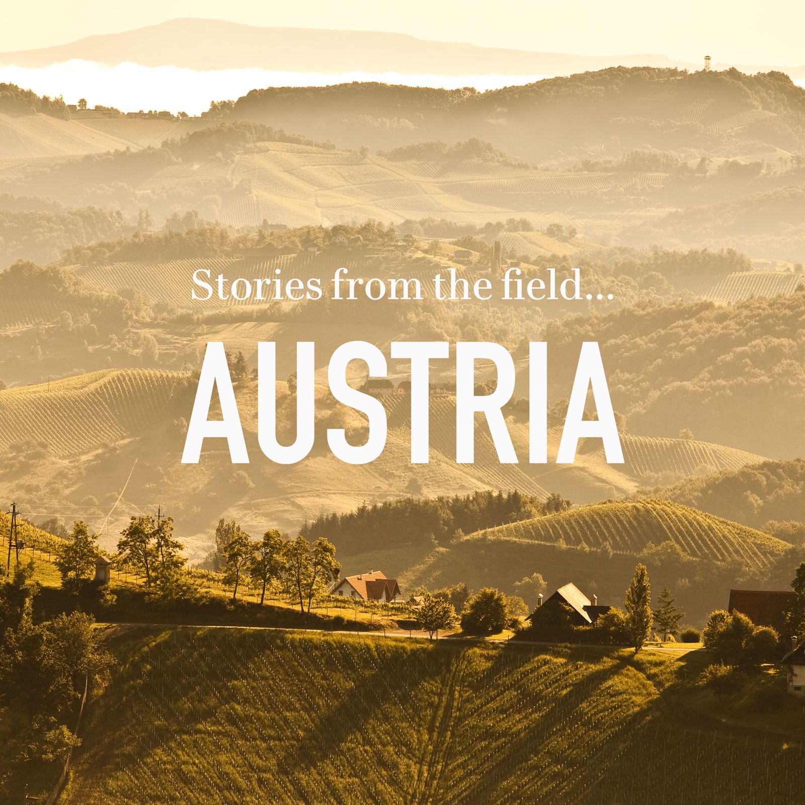 Stories from the field - Austria