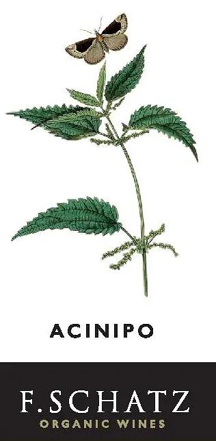 Acinipo - Master