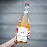 Vulcanica PetNat #4 - Master