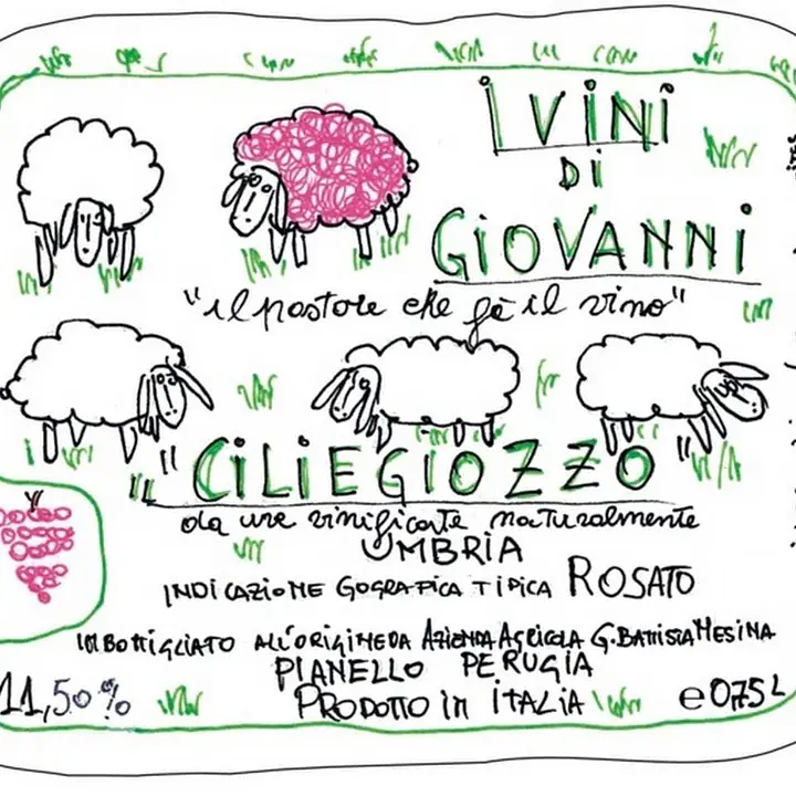 Ciliegiozzo - Master