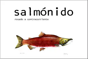 Salmónido - Master