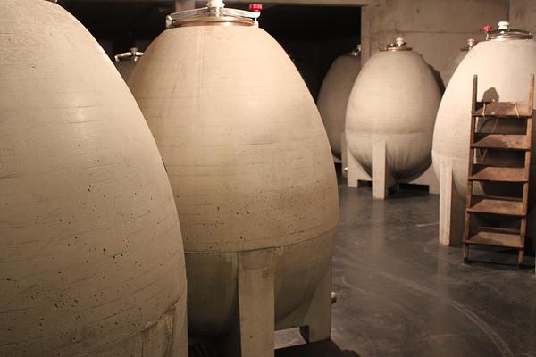 Gallery image 9
