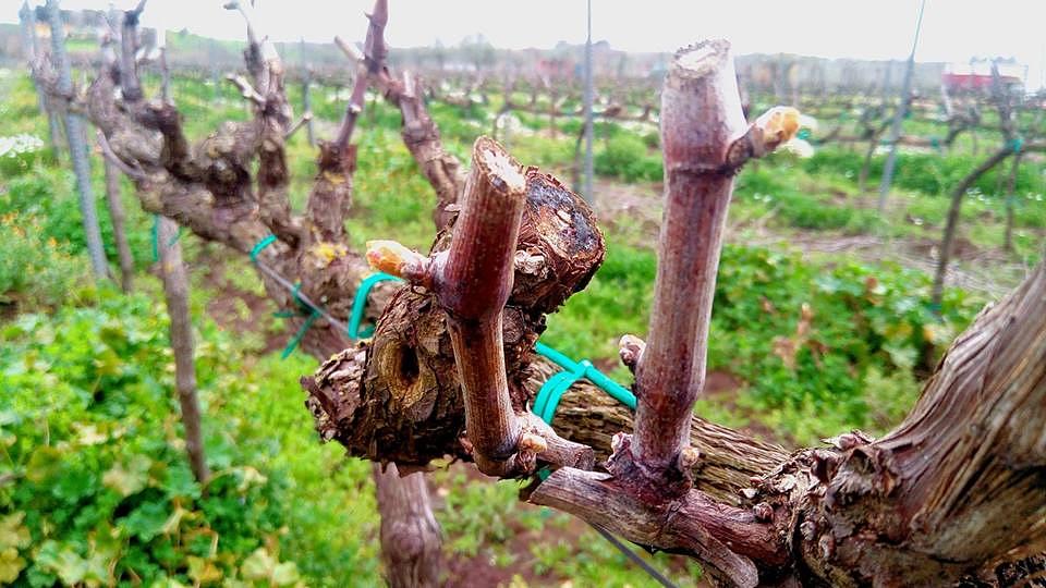 Gallery image 7