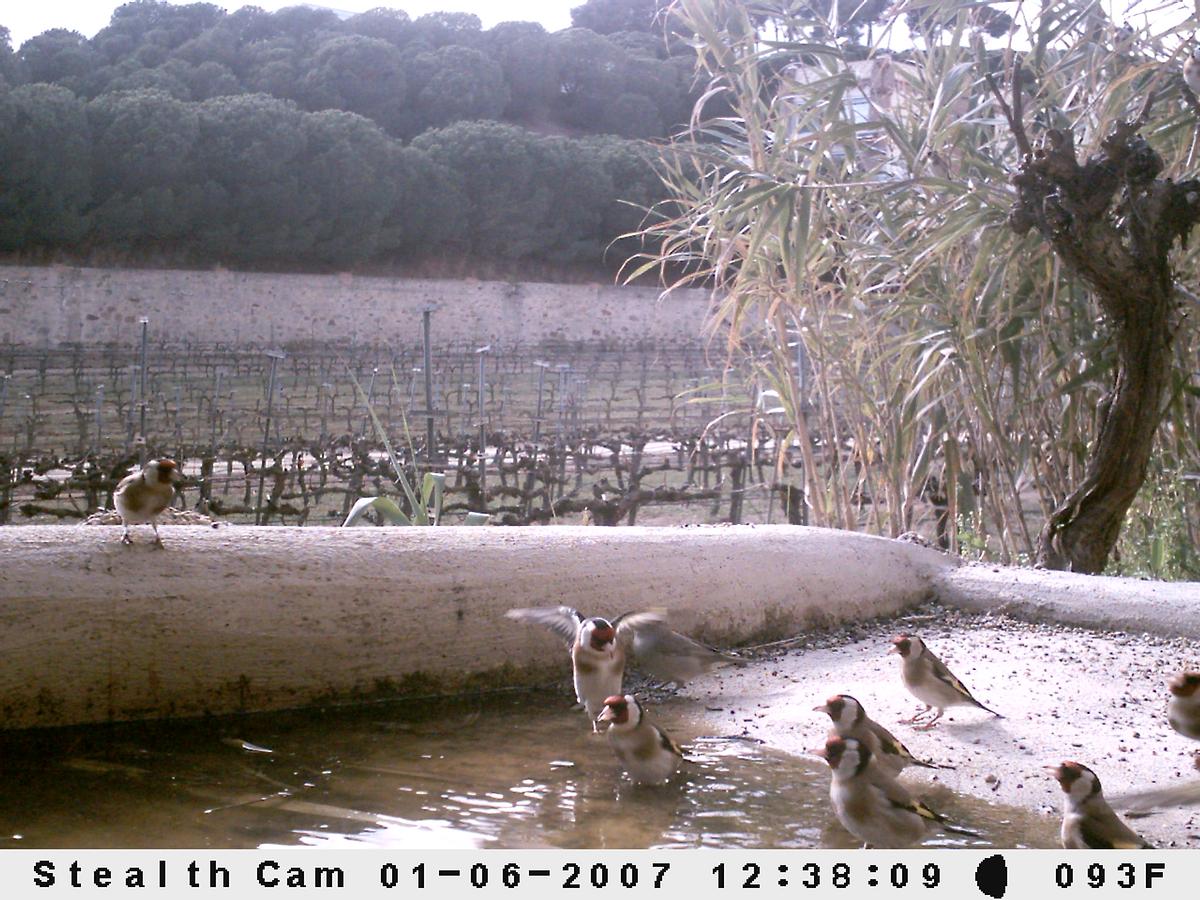 Gallery image 38