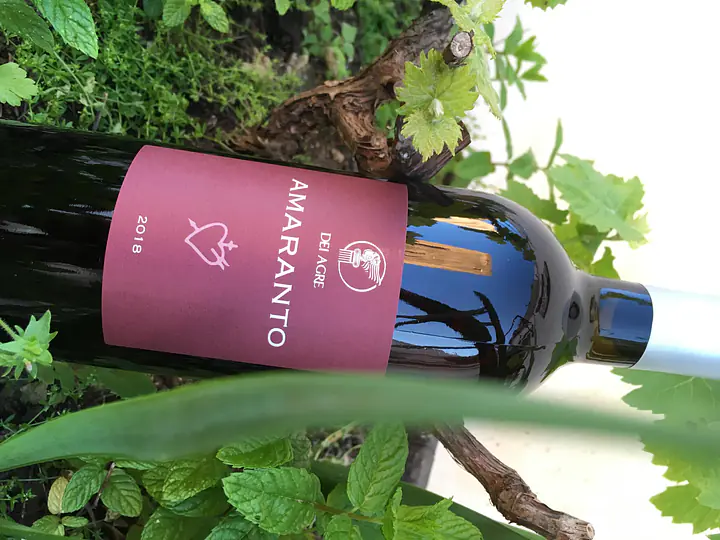 AMARANTO - Master