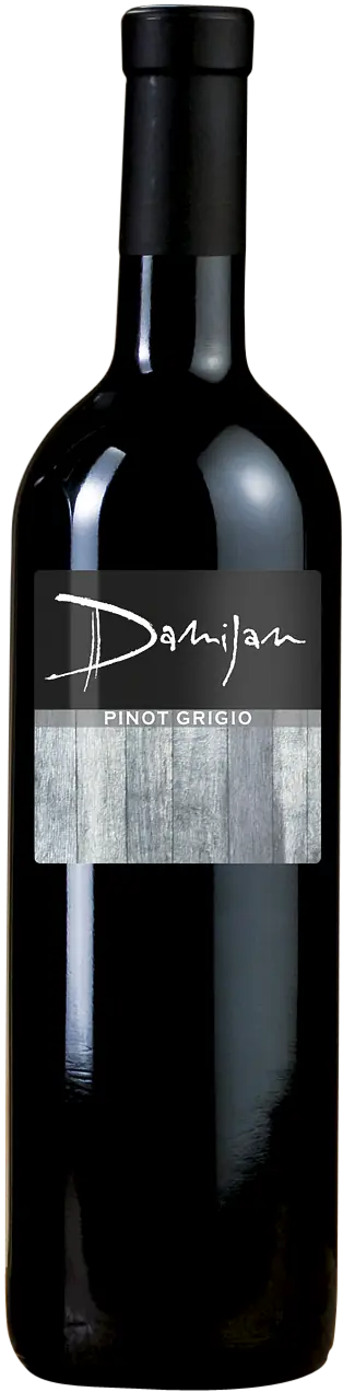 Pinot Grigio - Master
