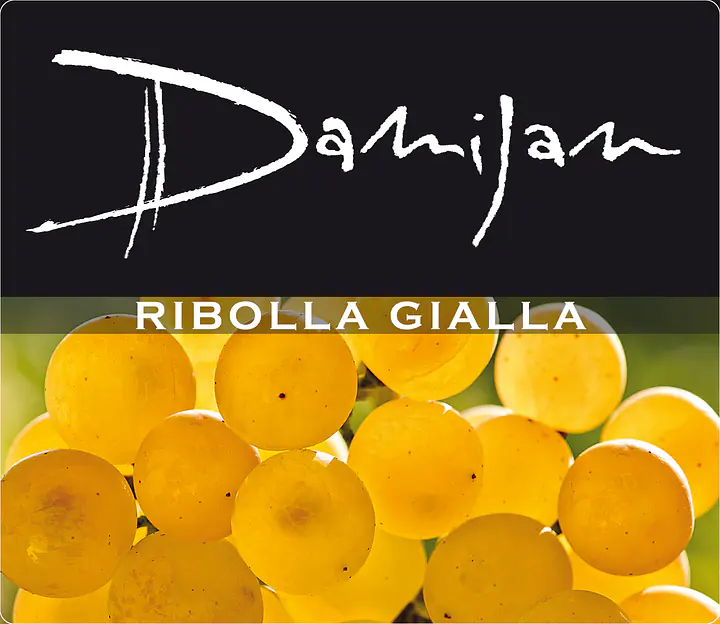 Ribolla Gialla - Master