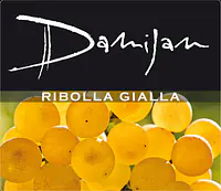 Ribolla Gialla - Master