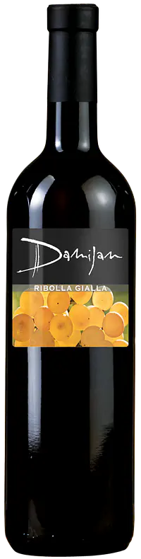 Ribolla Gialla - Master