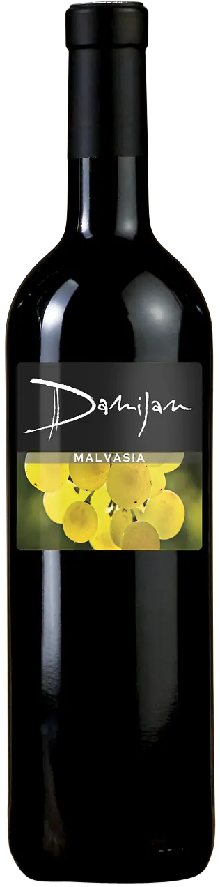 Malvasia - Master