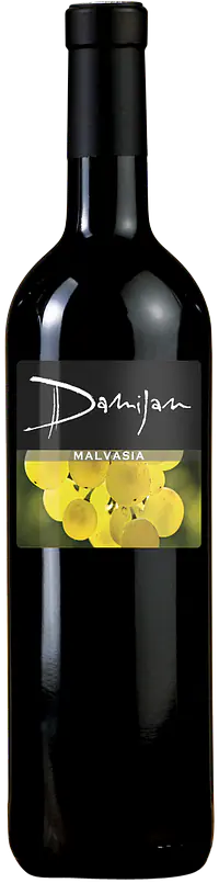 Malvasia - Master