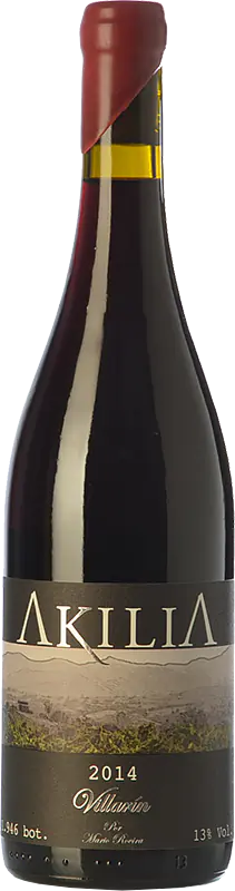 Villarín - Master