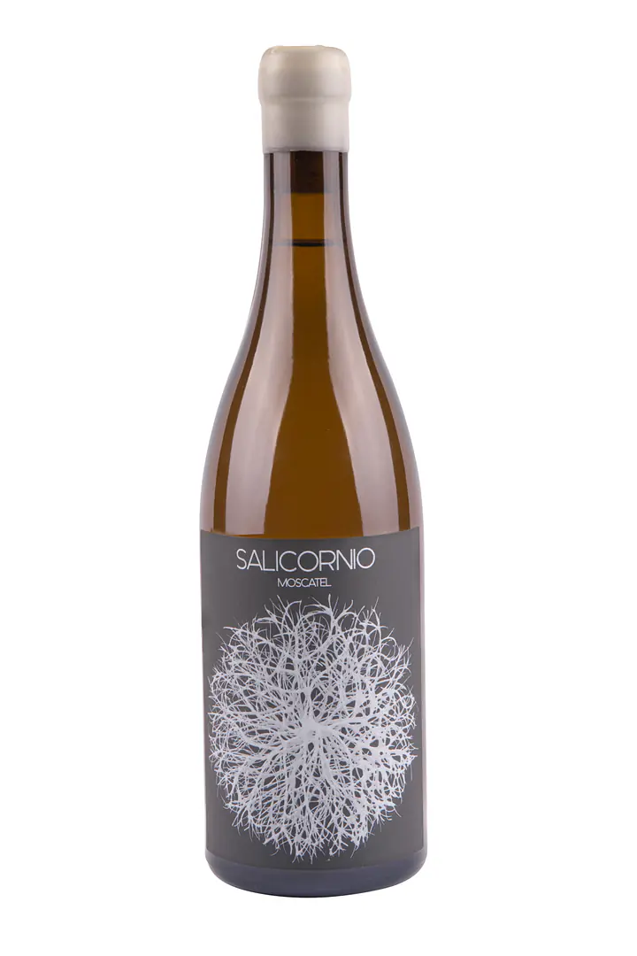 SALICORNIO MOSCATEL - Master