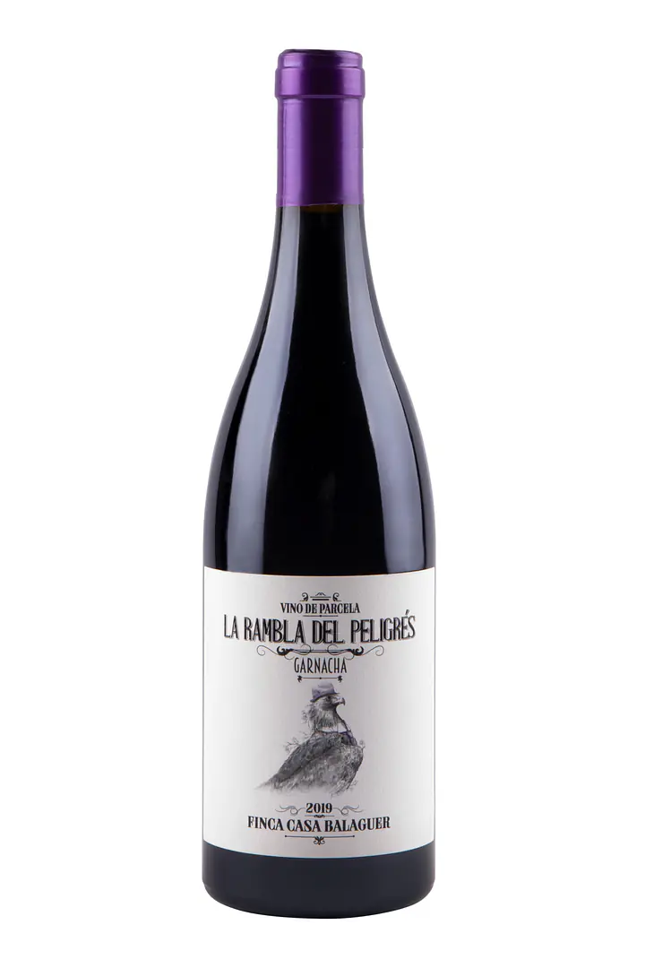 LA RAMBLA DEL PELIGRÉS - Master