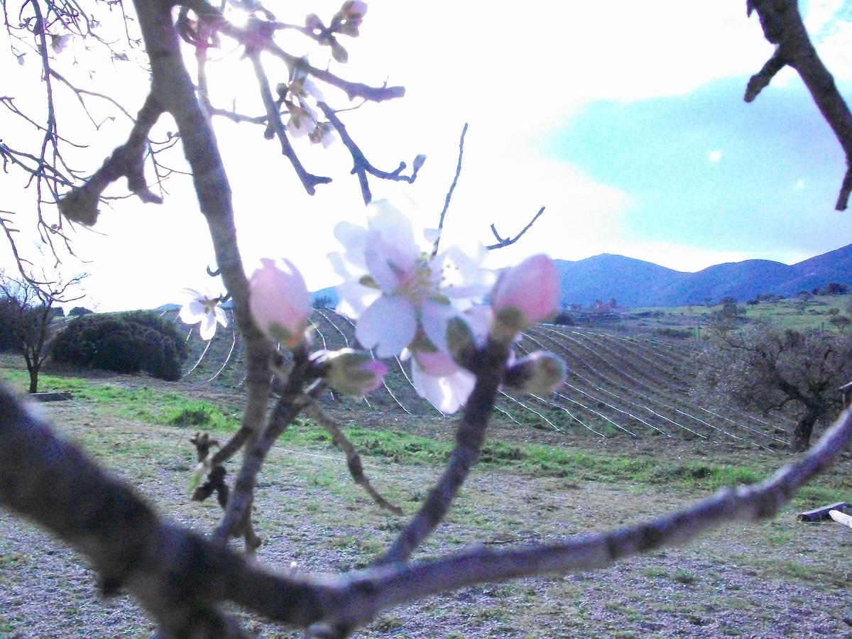 Gallery image 14