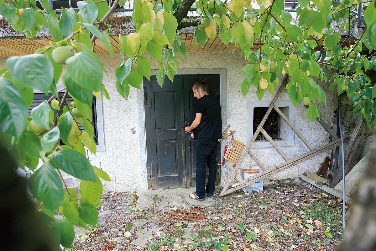 Gallery image 12