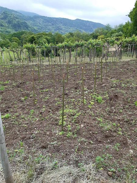 Gallery image 114