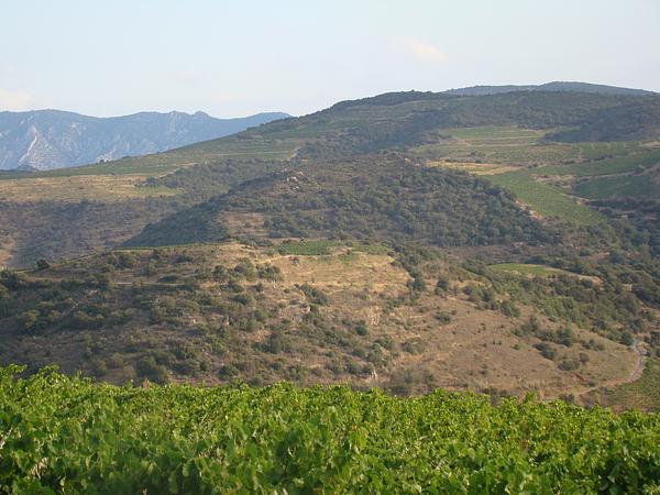 Gallery image 9