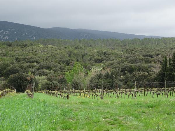 Gallery image 18