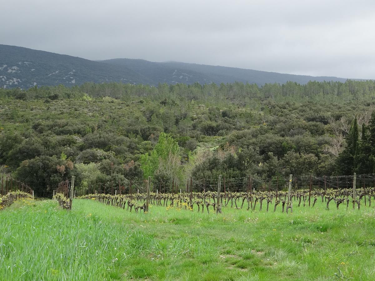 Gallery image 18