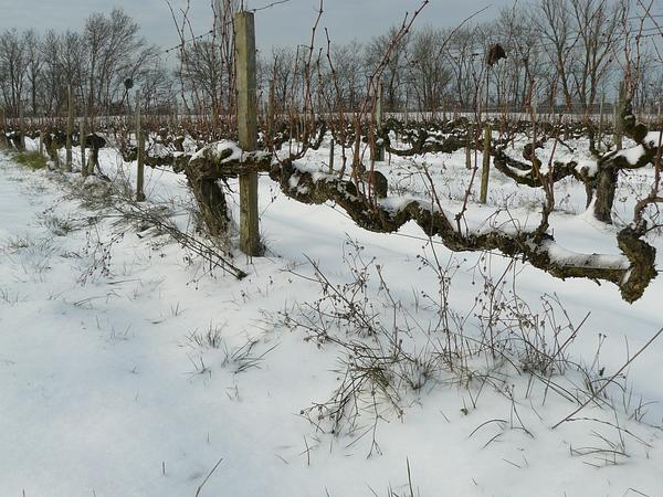 Gallery image 7