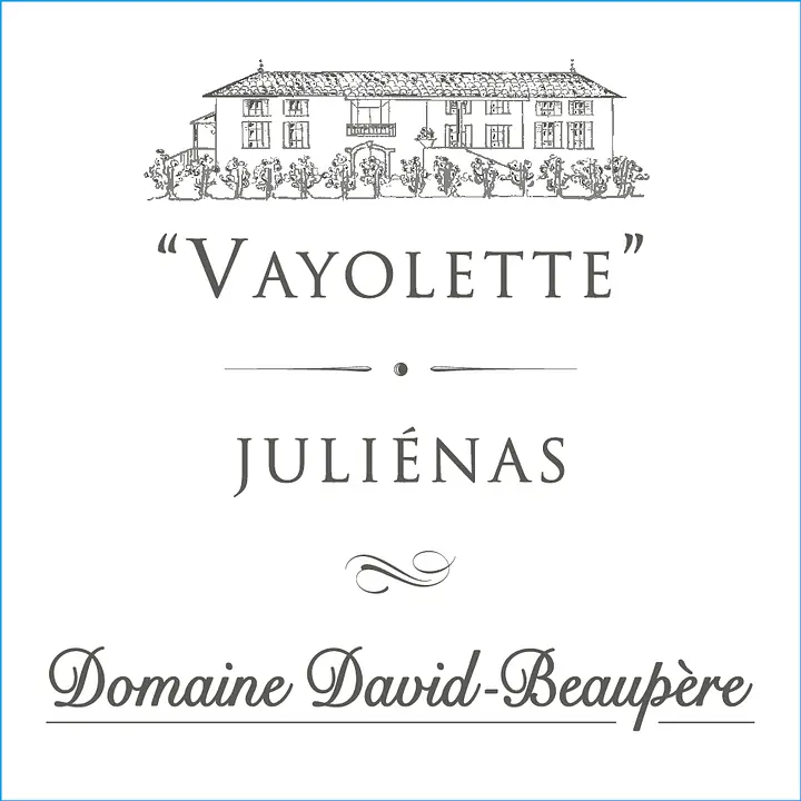 Vayolette - Master