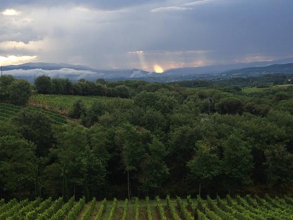 Gallery image 1