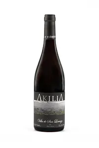 AKILIA Villa de San Lorenzo Red - Master