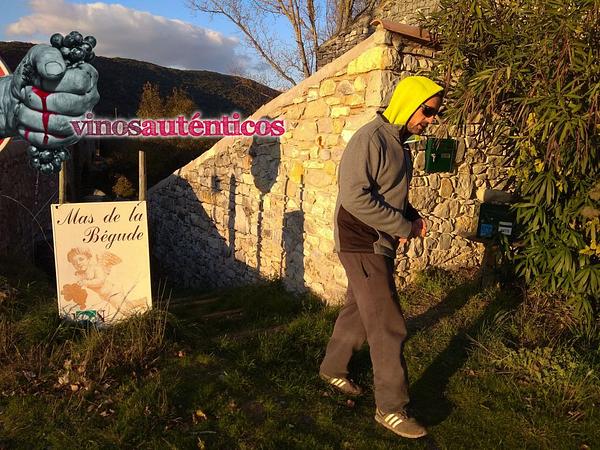 Gallery image 29