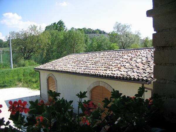 Gallery image 15
