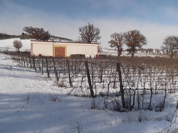 Gallery image 21
