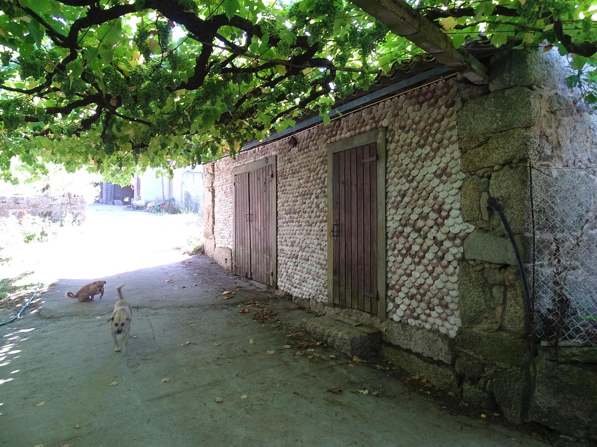 Gallery image 3