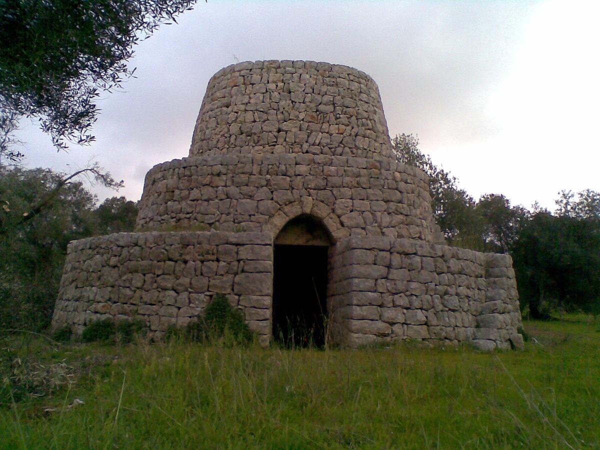 Gallery image 11
